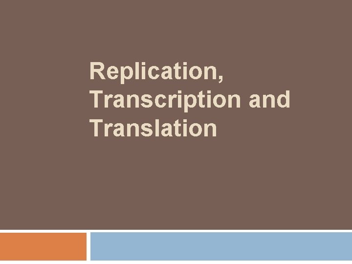 Replication, Transcription and Translation 