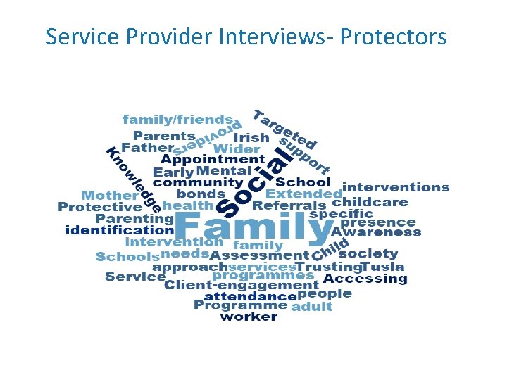 Service Provider Interviews- Protectors Service Provider Interviews- Protectors