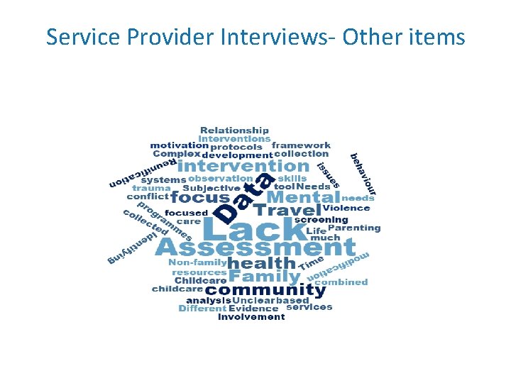 Service Provider Interviews- Other items Service Provider Interviews- Other items
