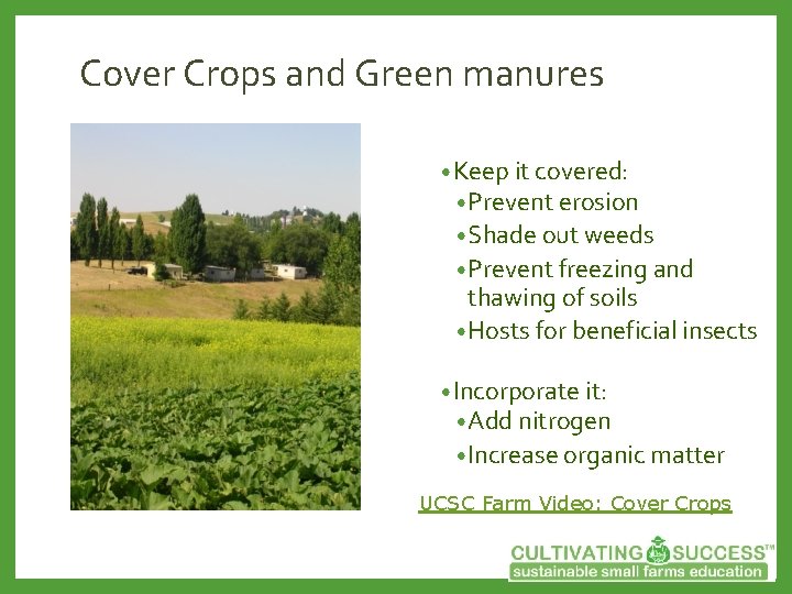 Cover Crops and Green manures • Keep it covered: • Prevent erosion • Shade