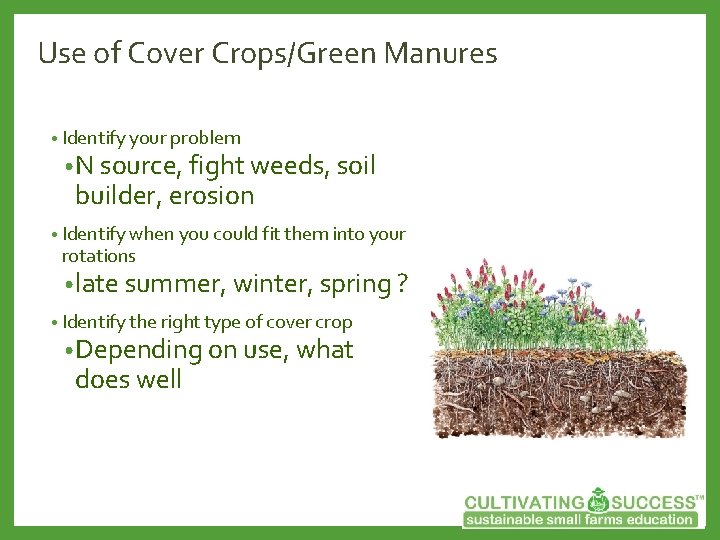 Use of Cover Crops/Green Manures • Identify your problem • N source, fight weeds,