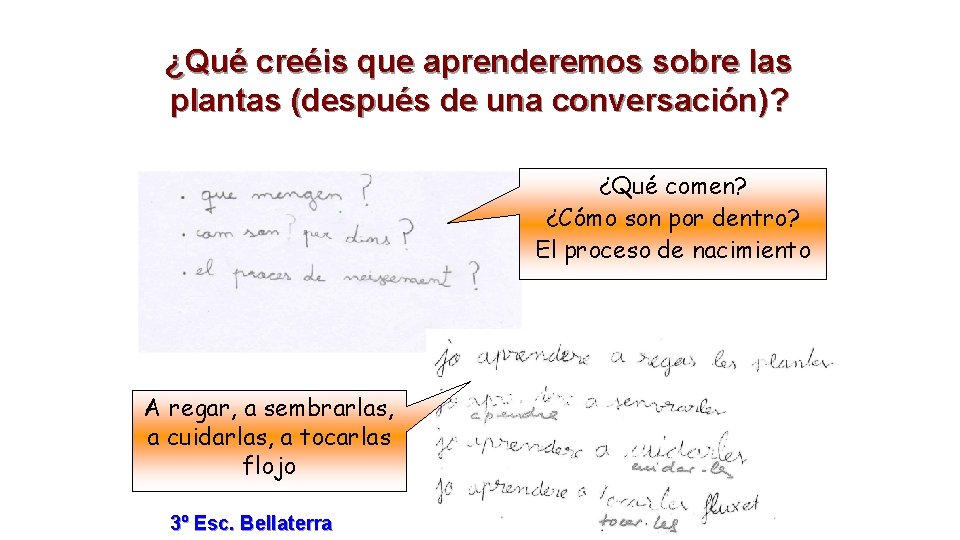 ¿Qué creéis que aprenderemos sobre las plantas (después de una conversación)? ¿Qué comen? ¿Cómo