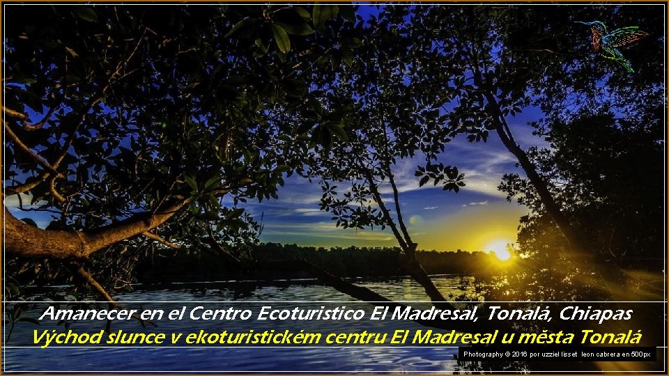Amanecer en el Centro Ecoturistico El Madresal, Tonalá, Chiapas Východ slunce v ekoturistickém centru