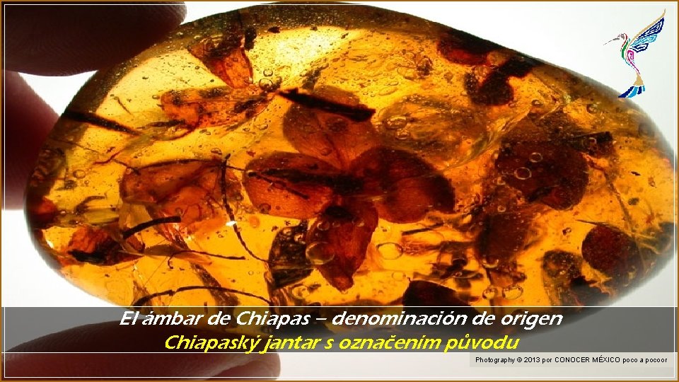 El ámbar de Chiapas – denominación de origen Chiapaský jantar s označením původu Photography