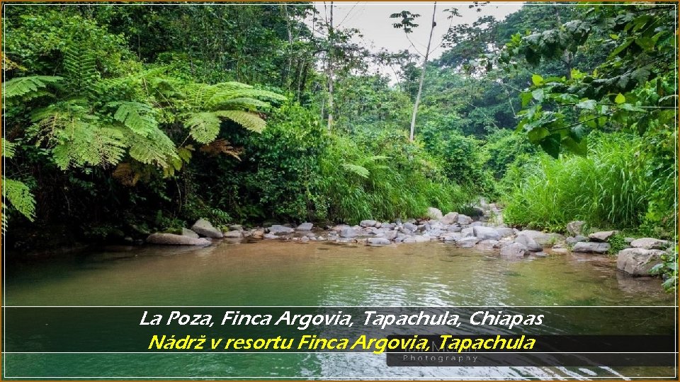 La Poza, Finca Argovia, Tapachula, Chiapas Nádrž v resortu Finca Argovia, Tapachula 