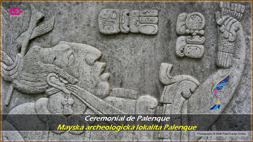 Ceremonial de Palenque Mayská archeologická lokalita Palenque Photography © 2009 Plant Design Online 