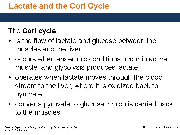 Lactate and the Cori Cycle The Cori cycle • is the flow of lactate