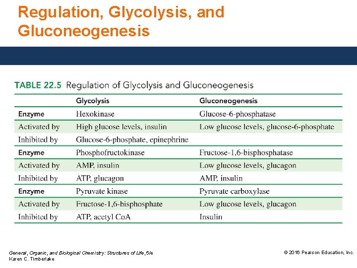 Regulation, Glycolysis, and Gluconeogenesis General, Organic, and Biological Chemistry: Structures of Life, 5/e Karen