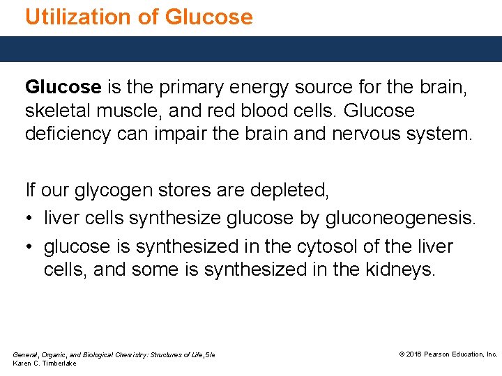 Utilization of Glucose is the primary energy source for the brain, skeletal muscle, and