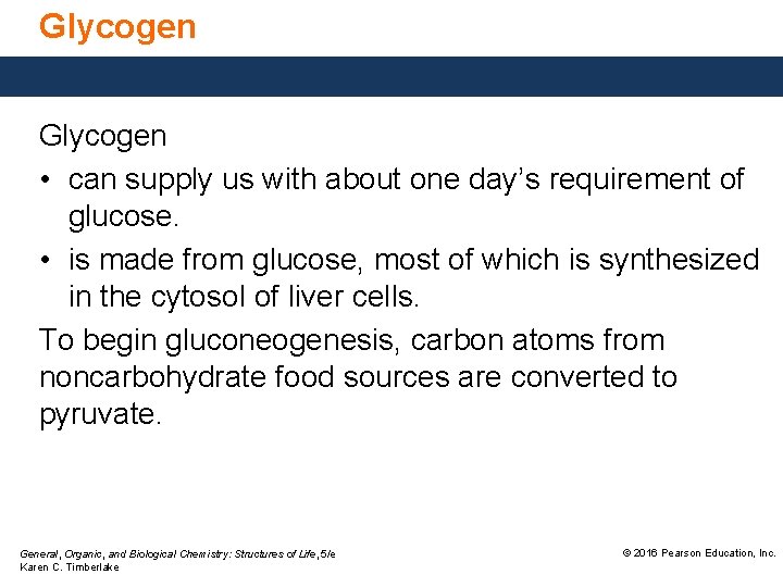 Glycogen • can supply us with about one day’s requirement of glucose. • is