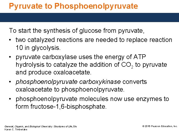 Pyruvate to Phosphoenolpyruvate To start the synthesis of glucose from pyruvate, • two catalyzed