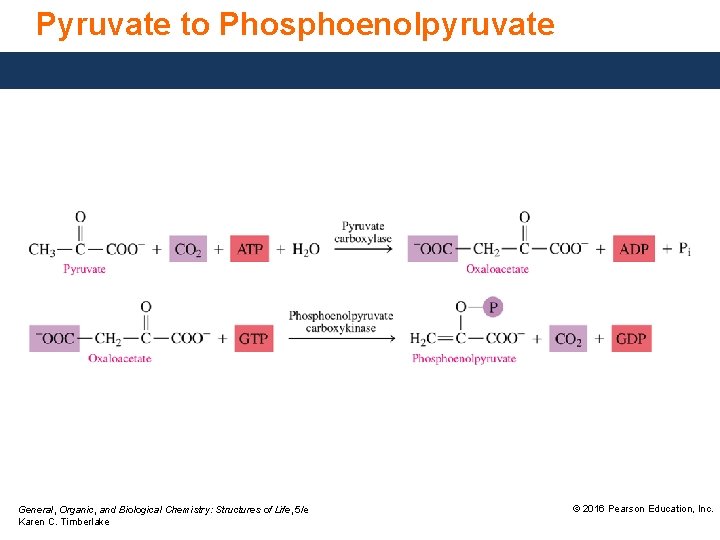 Pyruvate to Phosphoenolpyruvate General, Organic, and Biological Chemistry: Structures of Life, 5/e Karen C.
