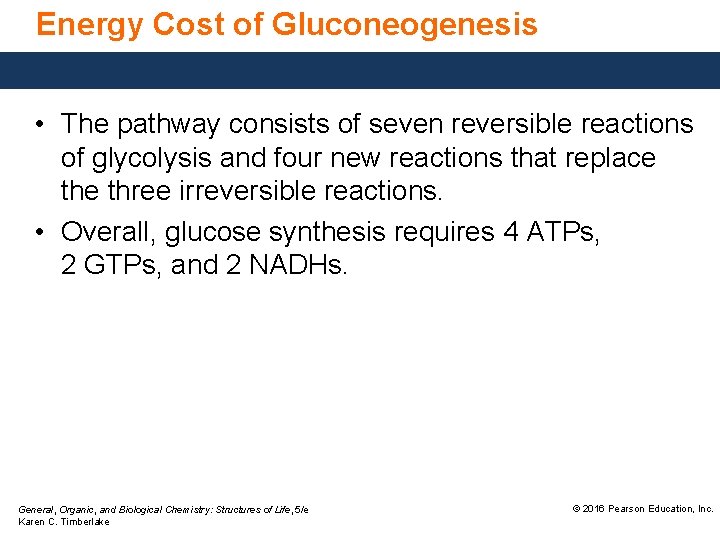 Energy Cost of Gluconeogenesis • The pathway consists of seven reversible reactions of glycolysis