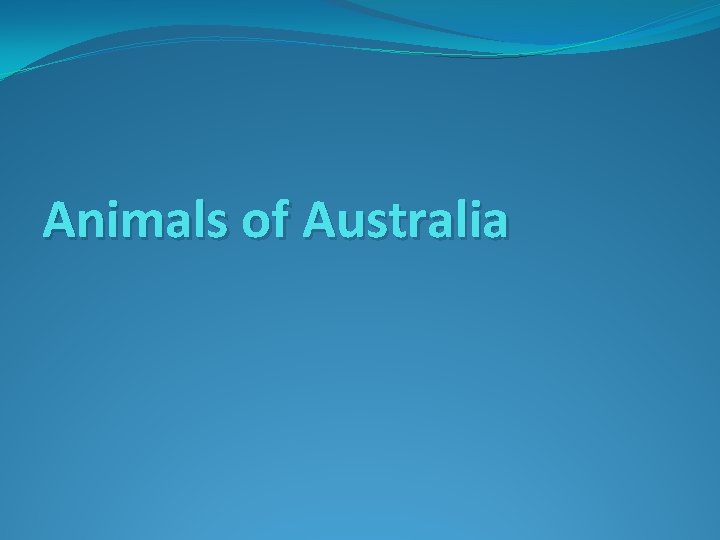 Animals of Australia 