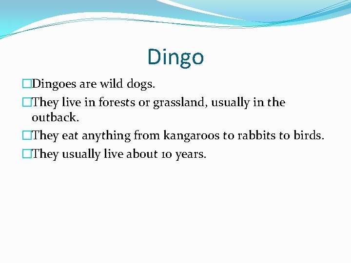 Dingo �Dingoes are wild dogs. �They live in forests or grassland, usually in the