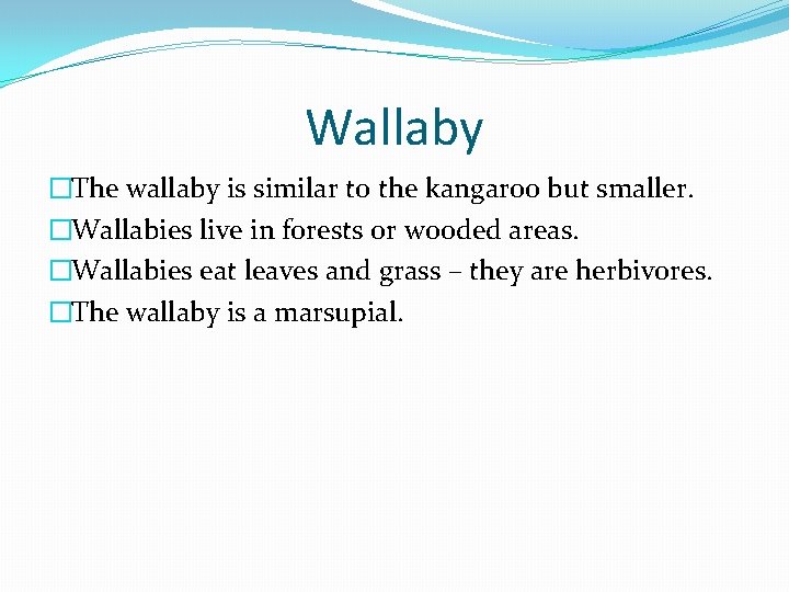 Wallaby �The wallaby is similar to the kangaroo but smaller. �Wallabies live in forests