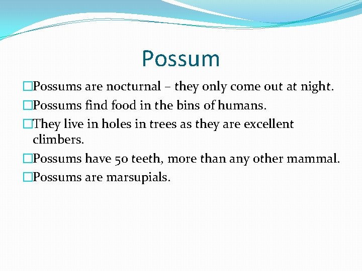 Possum �Possums are nocturnal – they only come out at night. �Possums find food