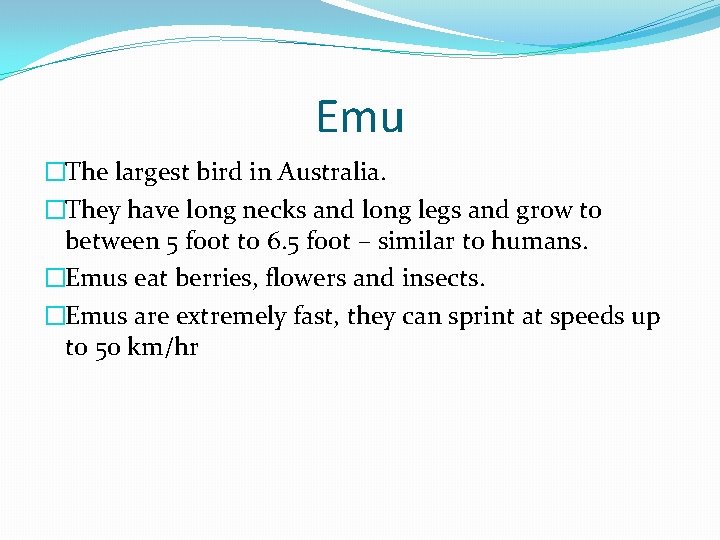 Emu �The largest bird in Australia. �They have long necks and long legs and