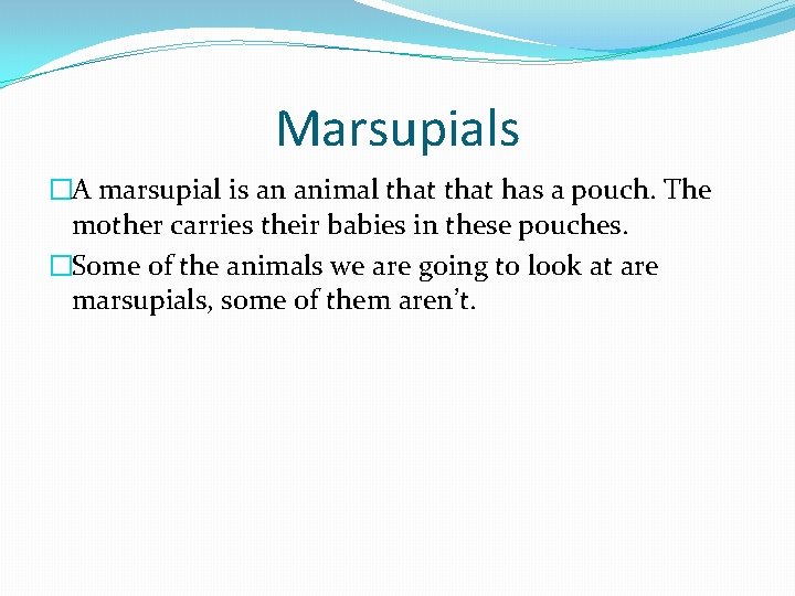 Marsupials �A marsupial is an animal that has a pouch. The mother carries their