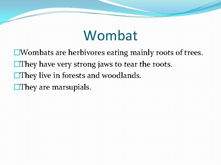 Wombat �Wombats are herbivores eating mainly roots of trees. �They have very strong jaws