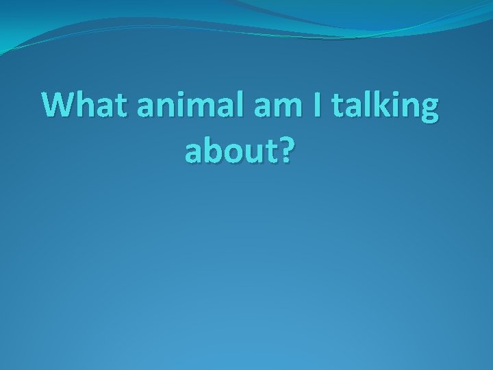 What animal am I talking about? 