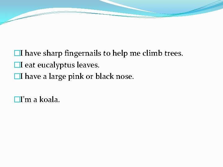 �I have sharp fingernails to help me climb trees. �I eat eucalyptus leaves. �I