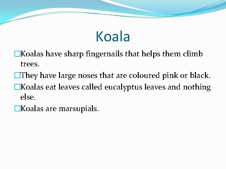 Koala �Koalas have sharp fingernails that helps them climb trees. �They have large noses