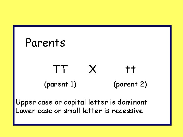 Parents TT (parent 1) X tt (parent 2) Upper case or capital letter is