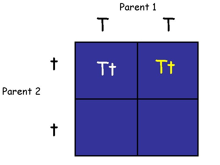 T t Parent 2 t Tt Parent 1 T Tt 