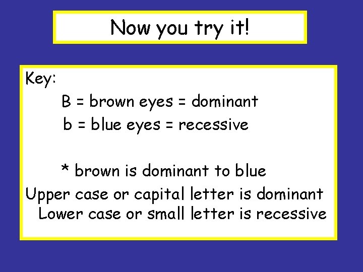 Now you try it! Key: B = brown eyes = dominant b = blue