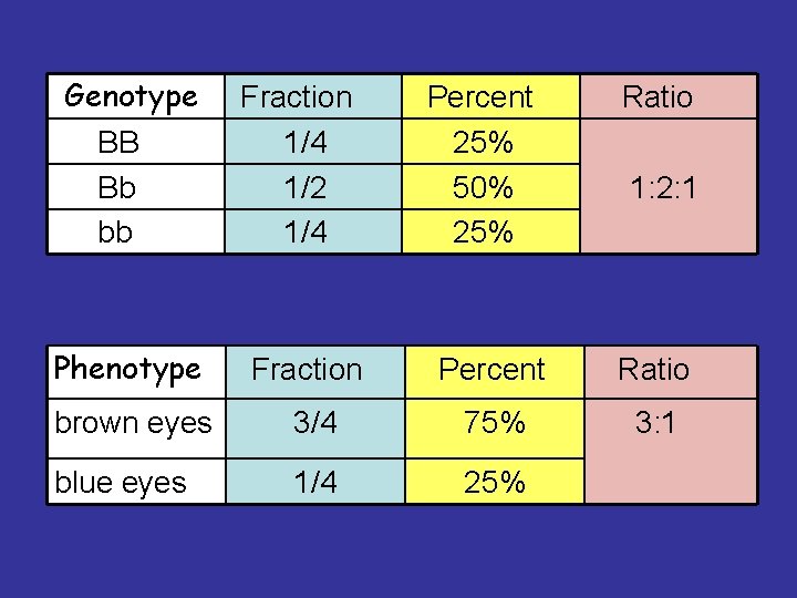 Genotype BB Bb bb Fraction 1/4 1/2 1/4 Percent 25% 50% 25% Ratio 1: