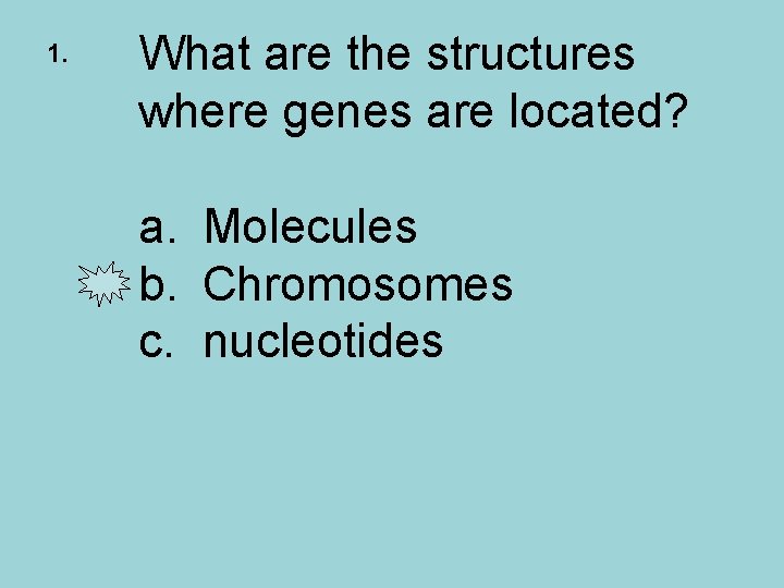 1. What are the structures where genes are located? a. Molecules b. Chromosomes c.