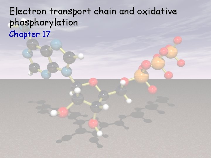 Electron transport chain and oxidative phosphorylation Chapter 17 