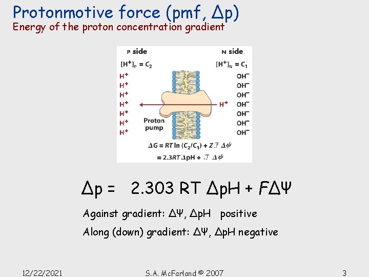 Protonmotive force (pmf, Δp) Energy of the proton concentration gradient Δp = 2. 303