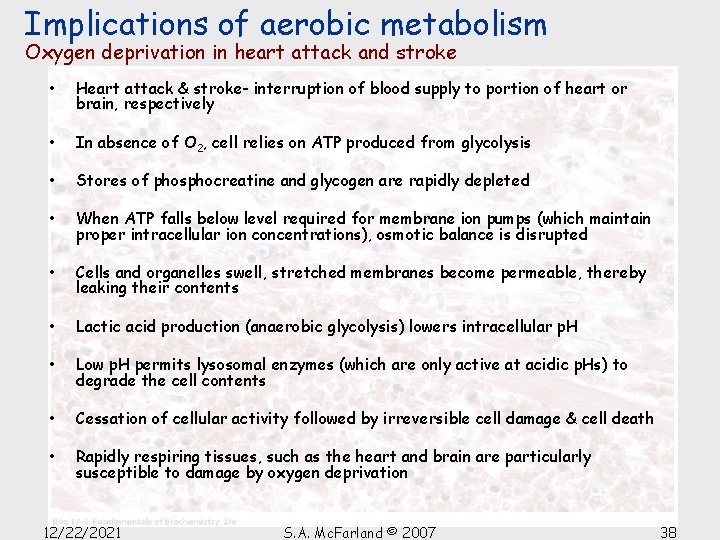 Implications of aerobic metabolism Oxygen deprivation in heart attack and stroke • Heart attack