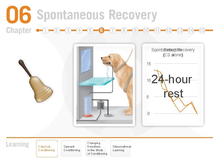 Spontaneous Extinction Recovery (CS alone) 15 10 5 0 Classical Conditioning Operant Conditioning Changing Spontaneous Extinction Recovery (CS alone) 15 10 5 0 Classical Conditioning Operant Conditioning Changing