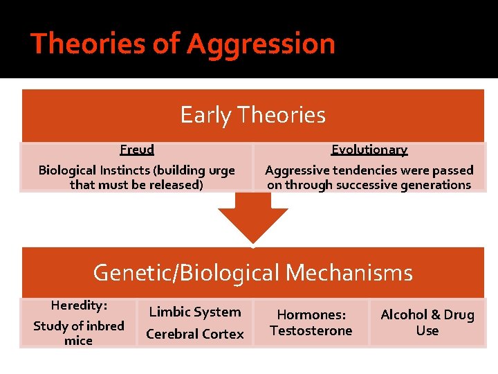 Theories of Aggression Early Theories Freud Evolutionary Biological Instincts (building urge that must be