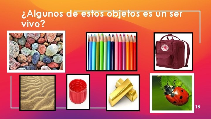 ¿Algunos de estos objetos es un ser vivo? 16 