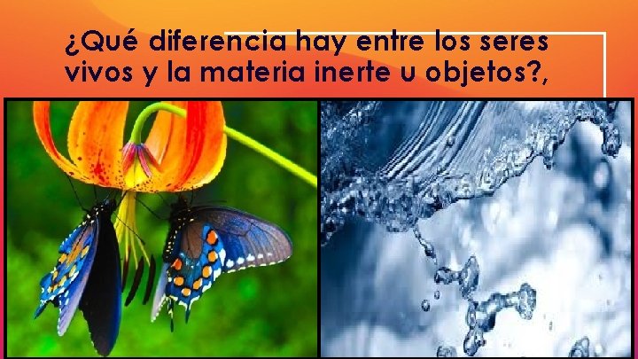 ¿Qué diferencia hay entre los seres vivos y la materia inerte u objetos? ,