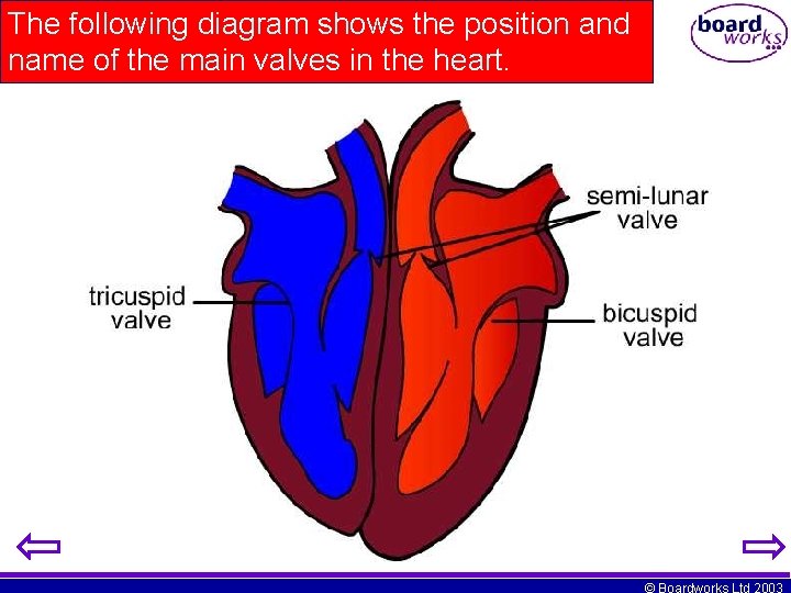 The following diagram shows the position and name of the main valves in the
