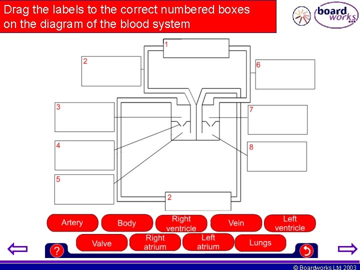 Drag the labels to the correct numbered boxes on the diagram of the blood