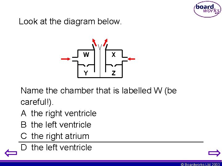Look at the diagram below. W X Y Z Name the chamber that is