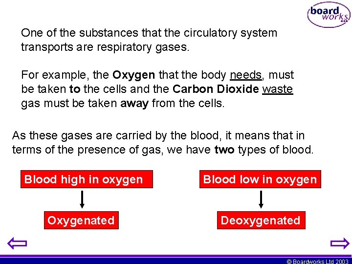 One of the substances that the circulatory system transports are respiratory gases. For example,