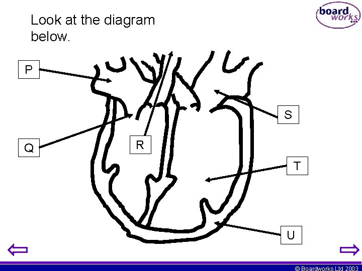 Look at the diagram below. P S Q R T U © Boardworks Ltd