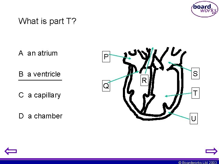 What is part T? A an atrium P B a ventricle Q R S