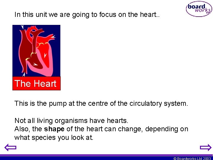 In this unit we are going to focus on the heart. . The Heart