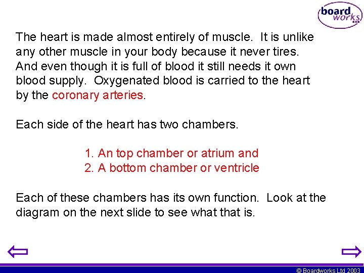 The heart is made almost entirely of muscle. It is unlike any other muscle