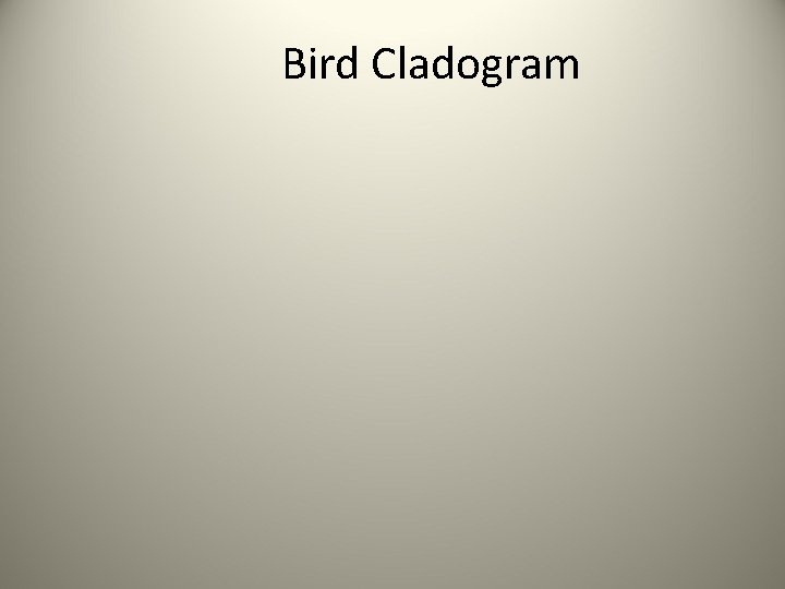 Bird Cladogram 