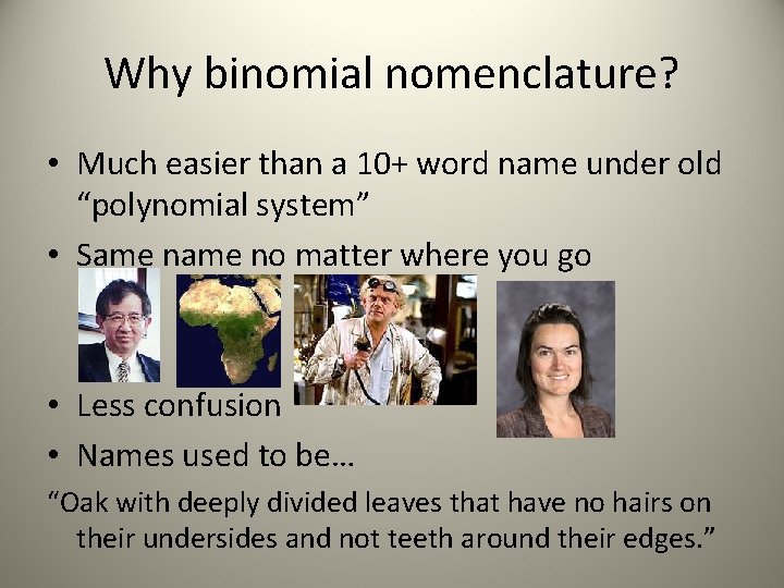 Why binomial nomenclature? • Much easier than a 10+ word name under old “polynomial
