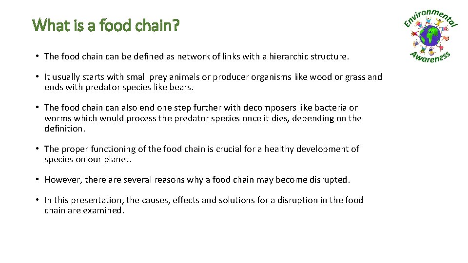 What is a food chain? • The food chain can be defined as network